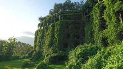 素晴らしく美しい景色へ コロンボとシギリア