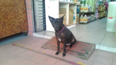 GWは元号またぎ、いつもの台湾②(ショッピング)