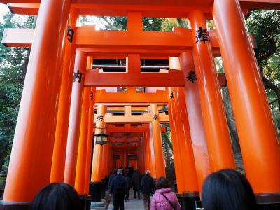 2017年11月 京都紅葉名所ツアー①（伏見稲荷大社）