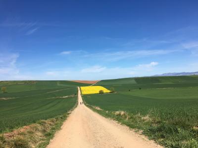 2019サンティアゴ巡礼7年目 3日目 サントドミンゴのパラドール