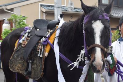 ★街十色～ ひとり青もみじ狩り部③　赤山禅院の青もみじと御霊祭りなど★