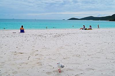 ハミルトン島に関する旅行記 ブログ フォートラベル オーストラリア Hamilton Island