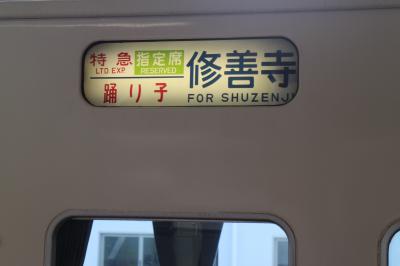 大船から静岡へ、引退迫る185系踊り子と静岡鉄道のまる子電車に乗る。