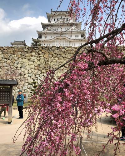 国宝・姫路城と庭園・好古園