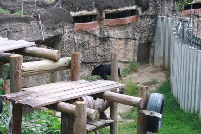 マンゴーの季節！1歳7か月の娘と高雄3★爆買い！ついでに動物園にも　～永春堂・四海豆漿・TASTY西堤牛排・壽山動物園～