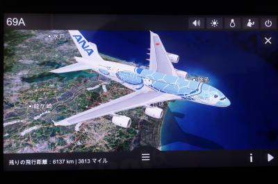 【2019海外】ANA A380 FLYING HONU で行くホノルル #01 ～就航初便の搭乗記～