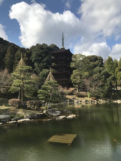 18きっぷで瑠璃光寺へ ～唐戸市場と瓦そば付き～