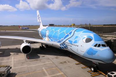 【2019海外】ANA A380 FLYING HONU で行くホノルル #04 ～復路 ビジネスクラス搭乗記～