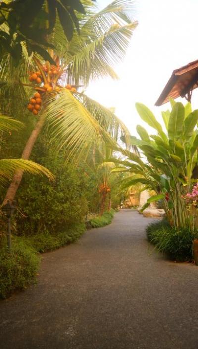 バリ島に女性一人で一ヶ月滞在してみました！！ウブドのgreen field hotel 編