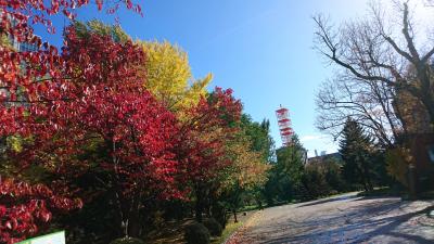 札幌パークホテルの朝食を堪能しに札幌へ！