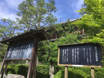 浄土宗総本山 知恩院のあさ活