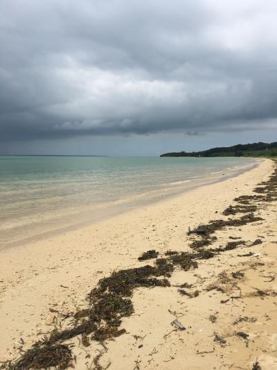 ビバぼっち！石垣島② 小浜島で熱中症