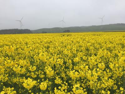 大人の修学旅行＠青森。陸奥で乗馬体験。下北半島の旅