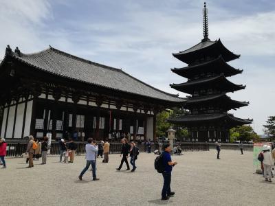 奈良の興福寺と奈良公園観光。人多すぎです。
