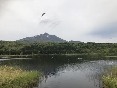 北海道旅行① 札幌から利尻編