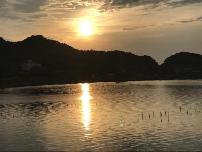 花を求めて⑪ 浜名湖へドライブ