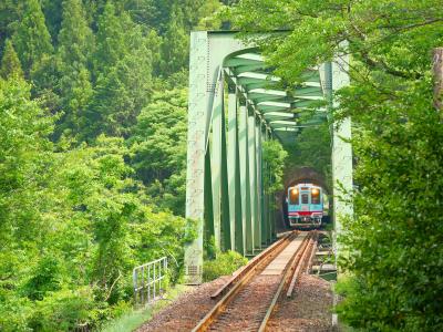 岐阜と三重へ。乗り鉄・撮り鉄・待ち鉄…鉄ばかりの鉄旅2日間【1日目：樽見鉄道編】