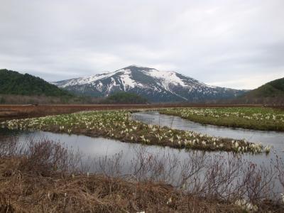 【連載】2019年５月、尾瀬水芭蕉の旅[２]尾瀬ヶ原は牛首周辺、ビールぐびぐび！もあり……間もなく！