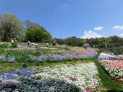 春の里山ガーデンフェスタ♪～２０１９～