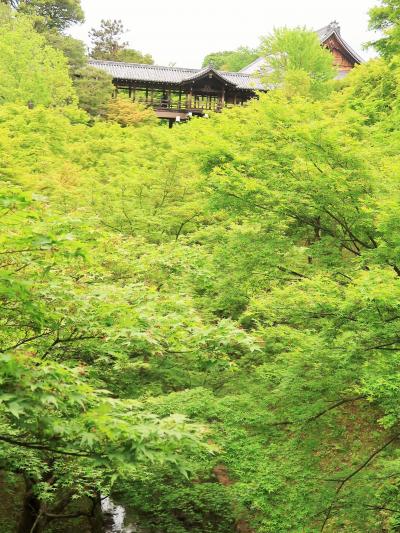 京都平成07　東福寺駅⇔東福寺/臥雲橋　歩いて10分　☆老舗喫茶店1000・ランチ休憩し