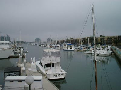 アメリカからの帰国