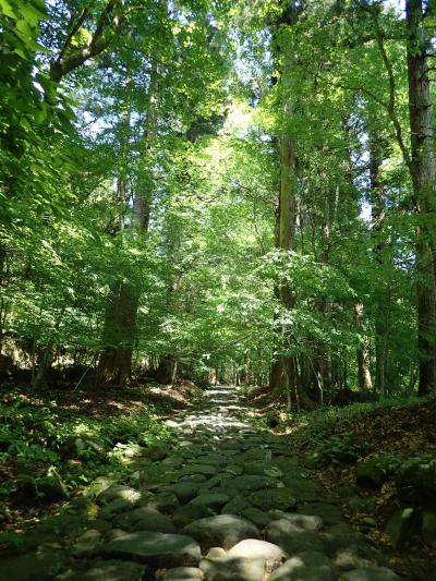 新緑に癒される日光巡り