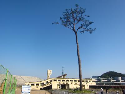 ’１９　宮城・岩手・青森旅行４　奇跡の一本松駅～東北の駅百選 大船渡駅～釜石駅