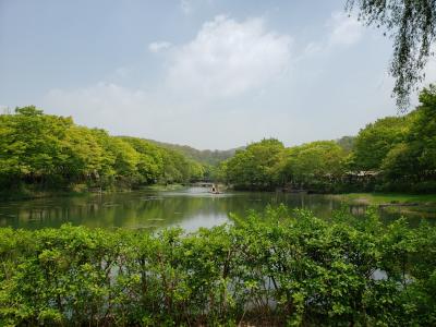 2019年GW・中年夫婦の韓国旅行記③　水原観光編