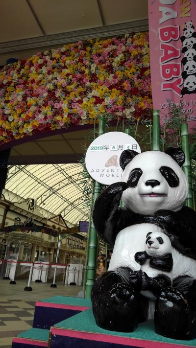 南紀旅四日目 アドベンチャーワールド