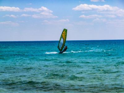 チュニジア縦横断の旅7カイルアンからハマメットへ