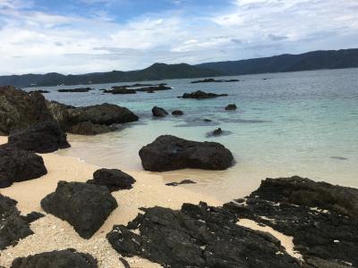 いもーれ奄美大島 は、刺激が多い島でした！