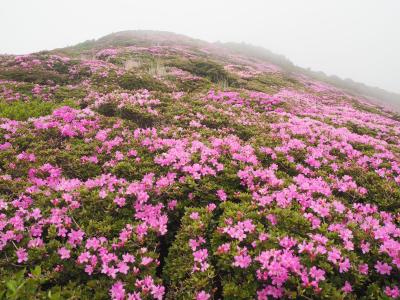 2泊3日　九重ミヤマキリシマ登山と温泉三昧の旅