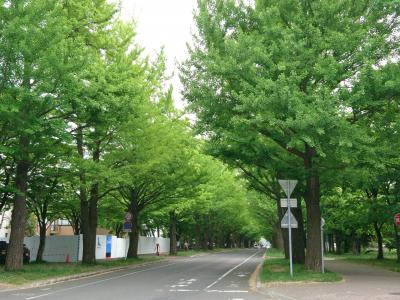 札幌１泊２日食い倒れ旅