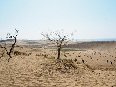九州・中国地方一周(5日目②)鳥取砂丘