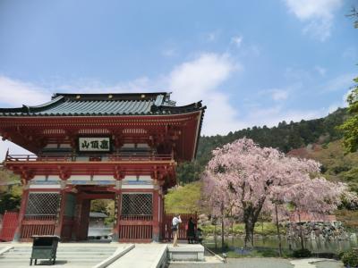 勝尾寺