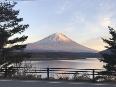 やっぱり富士山だね！　山梨日帰り旅　新倉山浅間公園と下部温泉