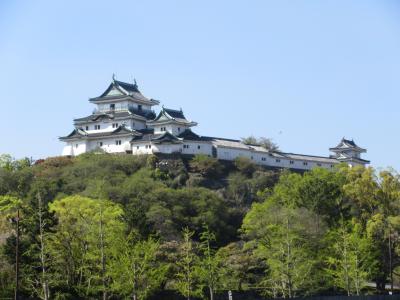 平成最後の月に訪れ、令和に記す紀州・大和路の旅　４日目その１　～　和歌山城　～