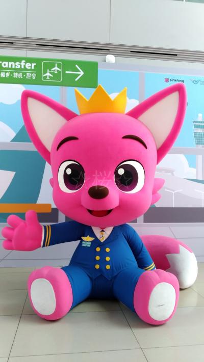 5泊6日の韓国旅行終了~!