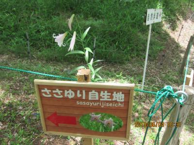 御嵩から新可児までのハイキング　（中山道御嶽宿と可憐な花ささゆりコース）　と　明智城址