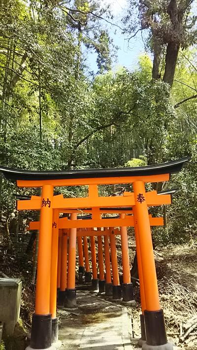法事のあとに桜を見に京都へ(2)