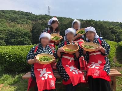 「チームうしがえる」 おばちゃん旅 日帰りバスツアー(コスプレ茶摘み)