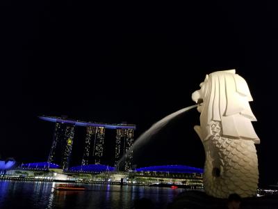 ビール呑み歩きの旅 2018 Spring in Singapore