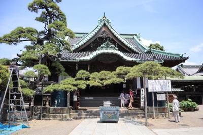 東京葛飾散策・・寅さんのふるさと柴又帝釈天をめぐります。