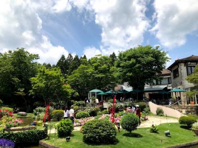 箱根ガラスの森美術館と箱根湿性花園で青いケシの花をみる