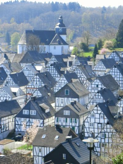 フロイデンベルク(Freudenberg)、ザールブルグ(Saalburg)、メスペルブルン城(Schloss Mespelbrunn)