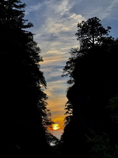 鳥取県大山夕方観察会