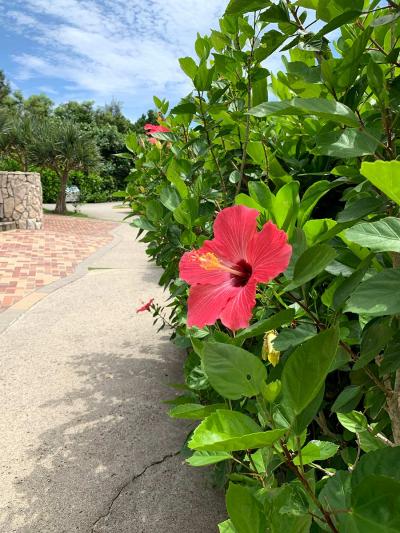 2019年6月　はじめての沖縄・石垣島1泊2日の旅☆インターコンチネンタル石垣リゾートに宿泊