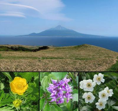 団塊夫婦の日本花巡りドライブ＆トレッキング(2019北海道)ー（３）利尻山を眺めながら桃岩展望台コースを歩く