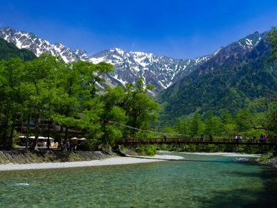 19初夏乗鞍・上高地撮影旅行２