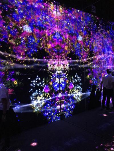 出張帰りにチームラボ ボーダレス!